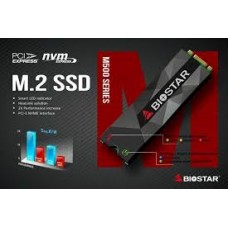 Накопитель SSD Biostar 1TB M500­1TB M.2